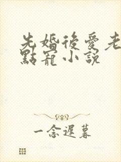 先婚后爱老公轻点宠小说