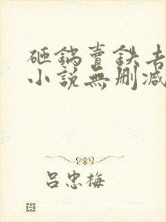 砸锅卖铁去上学小说无删减版