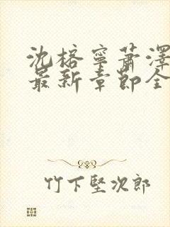 沈榕宁萧泽小说最新章节全文阅读