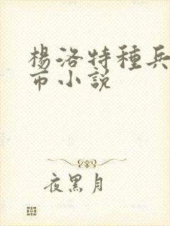 杨洛特种兵在都市小说