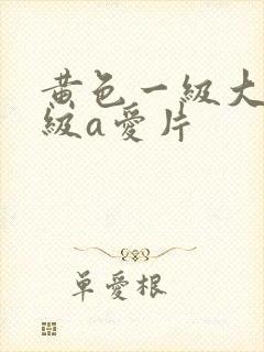 黄色一级大片一级a爱片