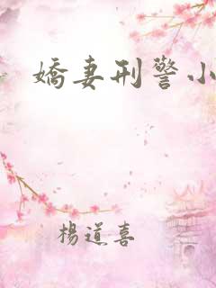 娇妻刑警小说