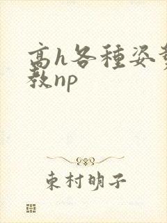 高h各种姿势调教np