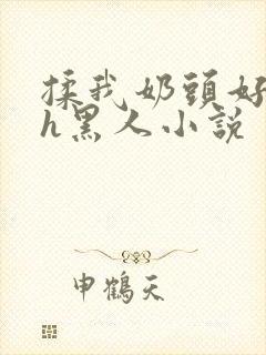 揉我奶头好爽嗯h黑人小说