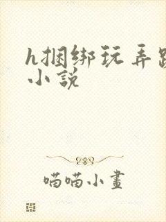 h捆绑玩弄跪趴小说