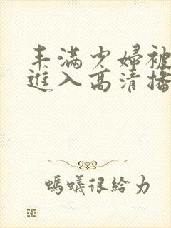 丰满少妇被猛烈进入高清播放,