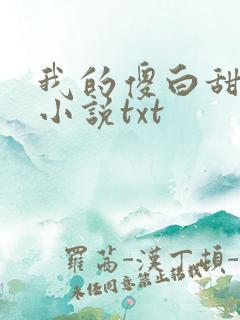 我的傻白甜老婆小说txt