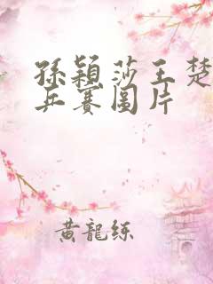 孙颖莎王楚钦世乒赛图片