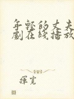 年轻的丈夫电视剧在线播放全集