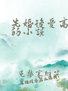先婚后爱高干文的小说