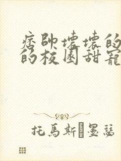 痞帅坏坏的校霸的校园甜宠文