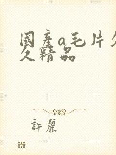 国产a毛片久久久精品