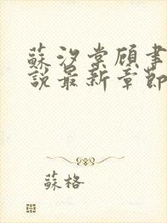 苏汐棠顾聿川小说最新章节免费阅读