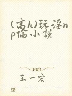 (高h)玩淫np伦小说