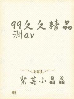 99久久精品亚洲av