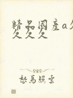 精品国产a久久久久久