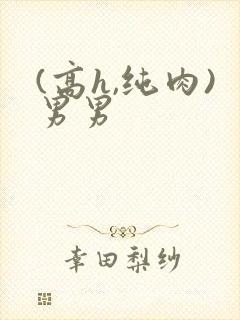 (高h,纯肉)男男