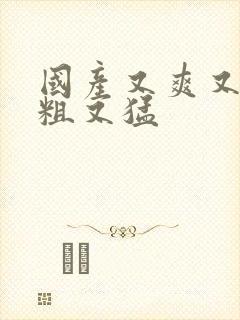 国产又爽又黄又粗又猛