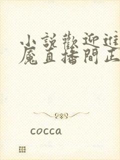 小说欢迎进入梦魇直播间正版免费