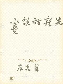 小说甜宠先婚后爱