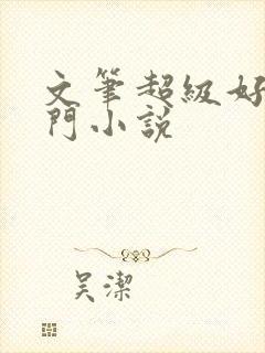 文笔超级好的冷门小说