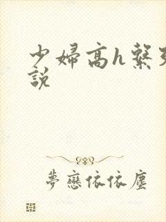 少妇高h系列小说
