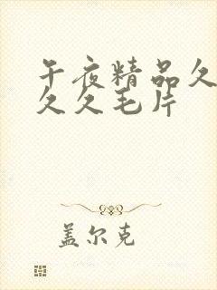 午夜精品久久久久久毛片