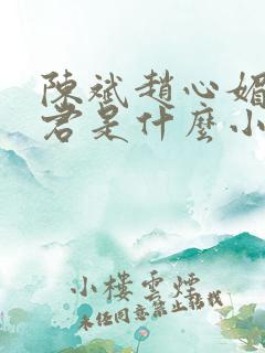 陈斌赵心媚高婉君是什么小说