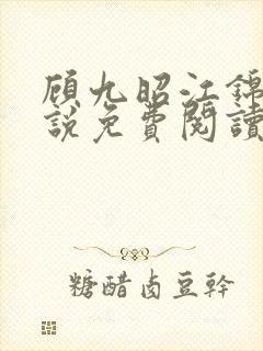 顾九昭江锦禾小说免费阅读最新章节