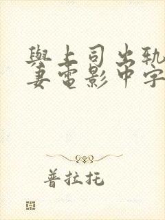 与上司出轨的人妻电影中字