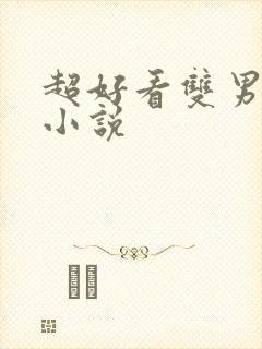 超好看双男主的小说