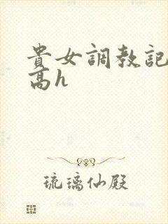 贵女调教记np高h