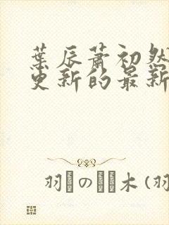 叶辰萧初然刚刚更新的最新章节