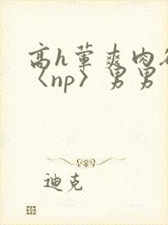高h荤爽肉欲文〈np〉男男