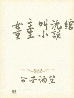 女主叫沈绾绾的重生小说