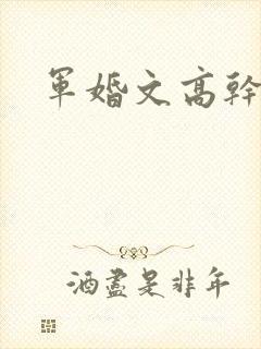 军婚文高干文
