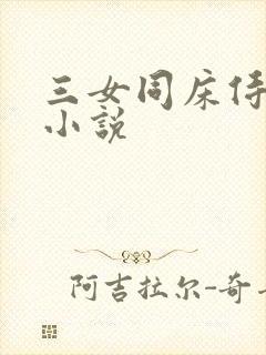 三女同床侍一夫小说