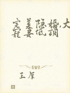 完美隐婚,大佬宠妻低调