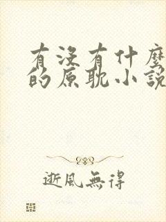 有没有什么好看的原耽小说