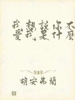 我想说你不是不爱我是什么歌