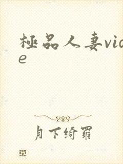 极品人妻vide