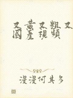 又黄又粗又爽的国产视频