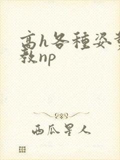 高h各种姿势调教np