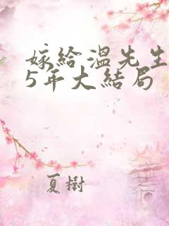 嫁给温先生的第5年大结局