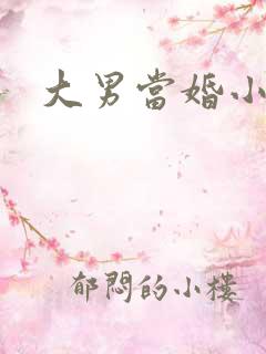 大男当婚小说