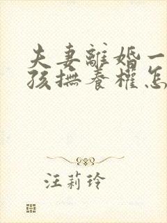 夫妻离婚一个小孩抚养权怎么判