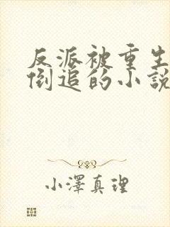 反派被重生女主倒追的小说