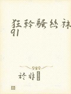 狂干骚丝袜久久91