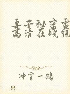 妻子秘密电视剧高清在线观看全集