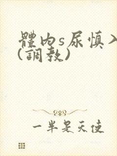 体内s尿慎入h(调教)